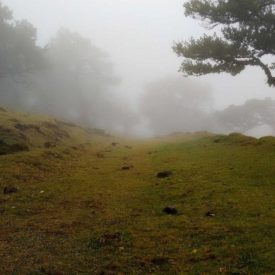 Walking on stones loop cover art